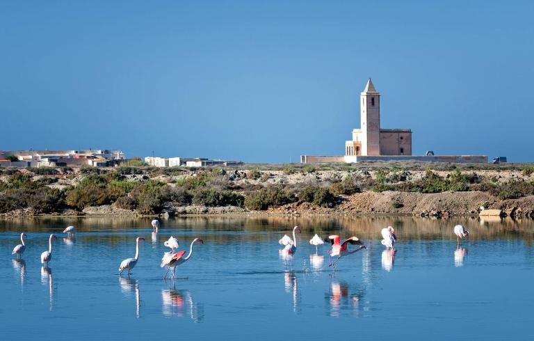 CABO BEACH paradise - Ferienwohnung El Cabo de Gata
