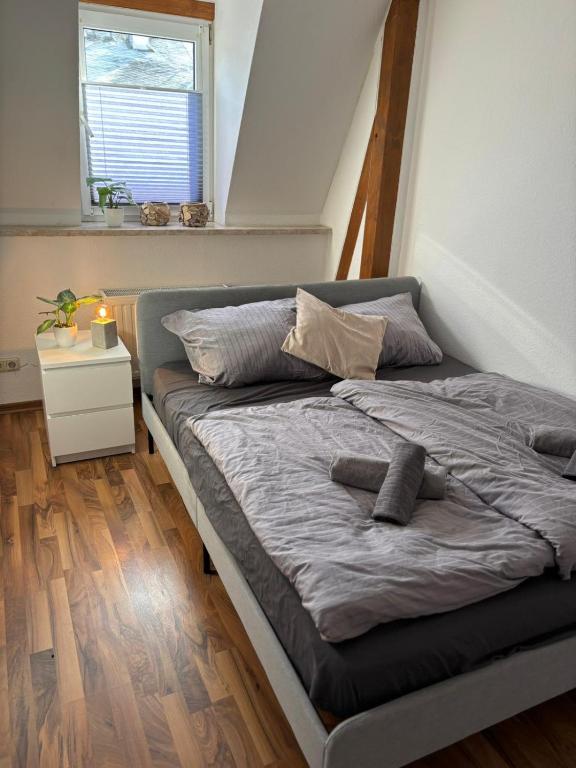 komfortable Ferienwohnung am Stadtwald von Plauen - B&B Plauen