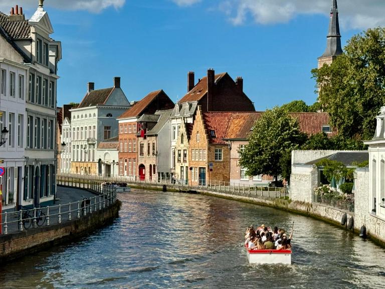 Sleeping Swan - B&B Bruges