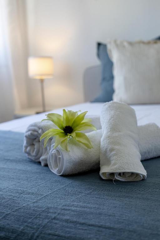 Sun & salt Apartment - Chambres d'hôtes Albufeira