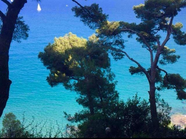 Finestra sul mare, piscina e spiaggia privata - Bed and Breakfast Cervo
