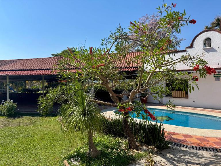 Casa Palma - B&B Xochitepec
