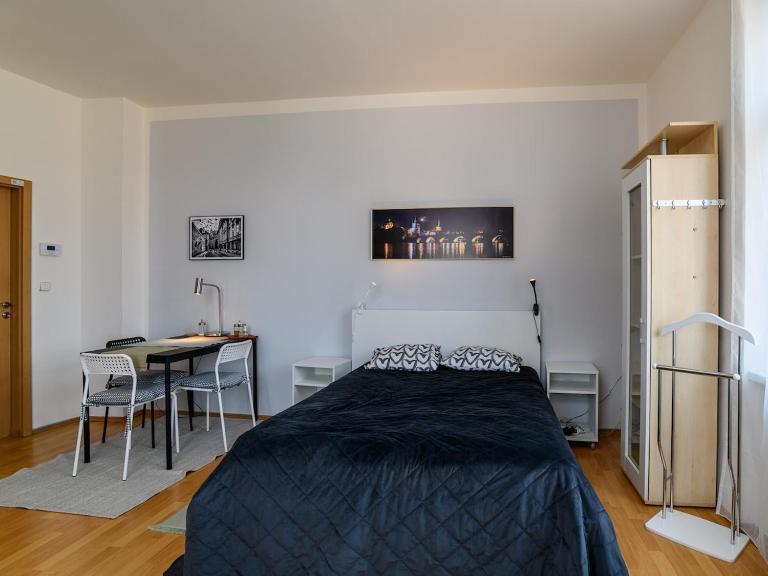 Comfortable apartment in Prague 8 - Libeň - B&B Prague