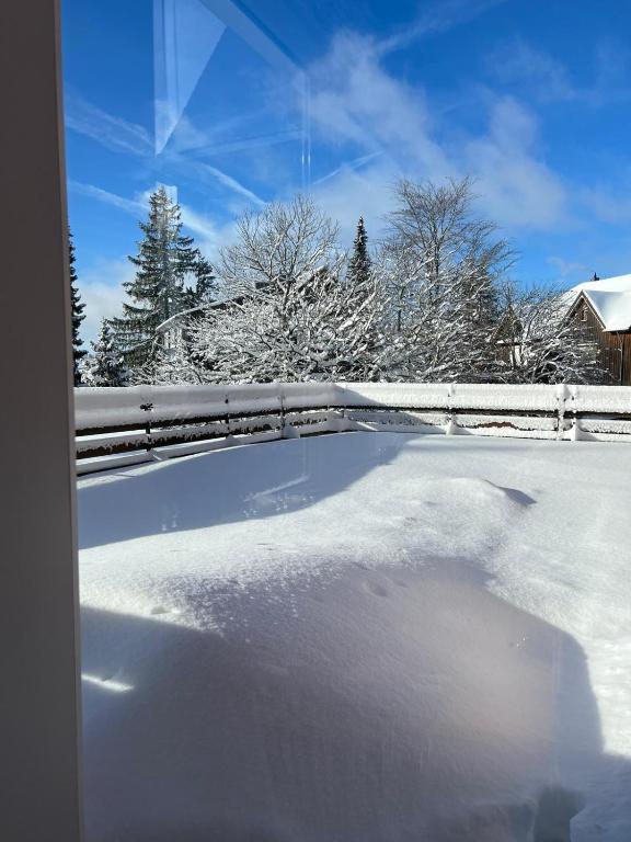 Harzer Weitblick - B&B Braunlage