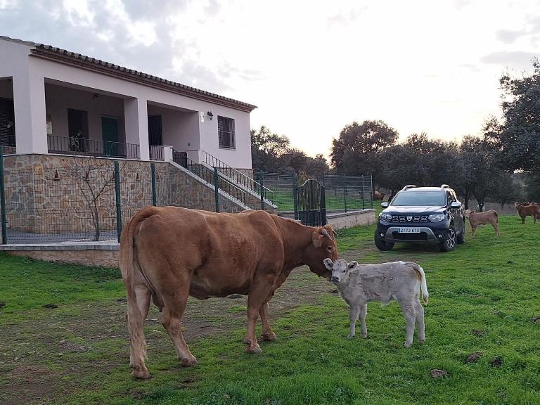 Casa Dehesa La Lancha - Ferienwohnung Cumbres Mayores
