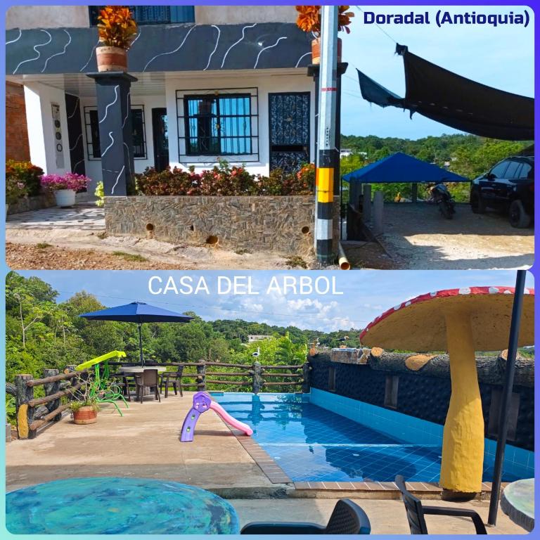 Apartamento - Casa del árbol - B&B Doradal