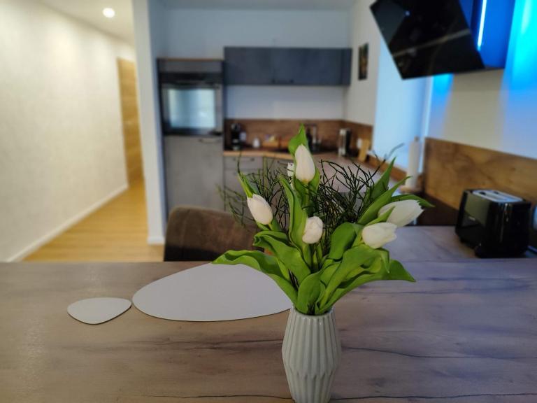 Apartment Marissa - zentral - Parkplatz - Bed and Breakfast Billerbeck