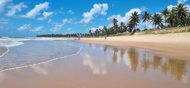 Belíssimo apartamento - B&B Mata de São João