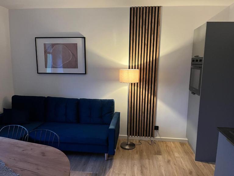 W Izerach - Apartament Superior - B&B Szklarska Poręba