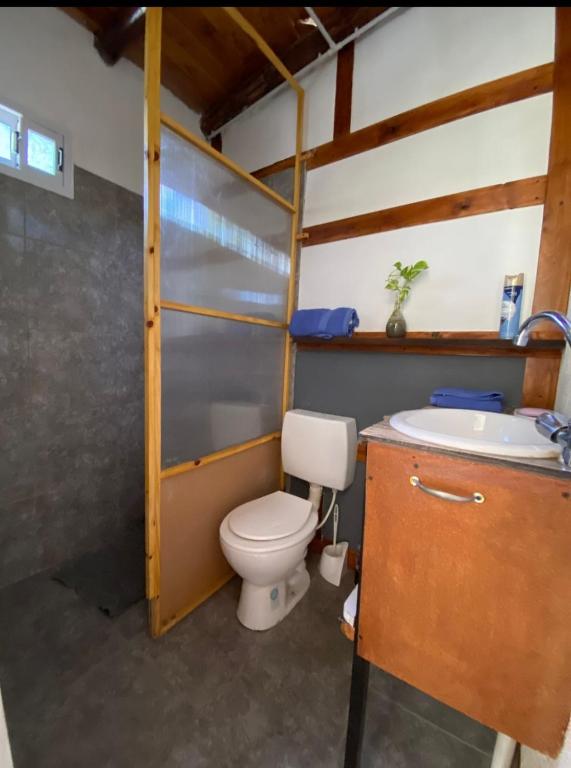 Departamento katzen - Ferienwohnung Alta Gracia