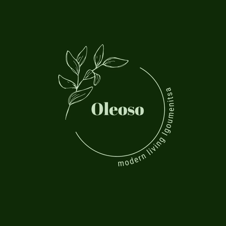 Oleoso - B&B Igoumenítsa