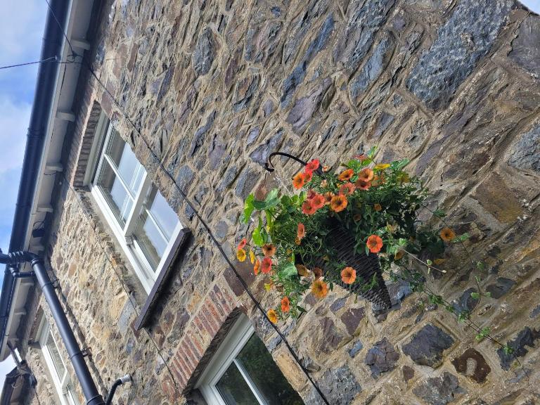 Brynteg cottage near seaside resort of New Quay - Ferienwohnung Llanllwchaiarn