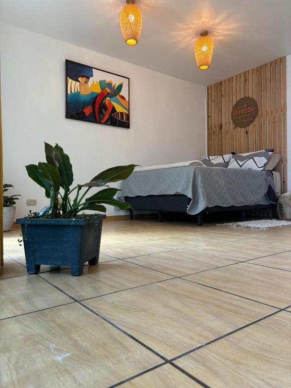 La Terraza Orgánica - B&B Cartago