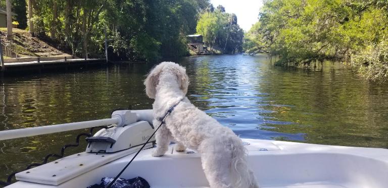 Minutes to boat ramps and beach and private pool! - B&B Crystal River