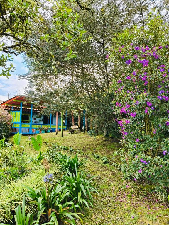 Galilea - B&B Santa Helena
