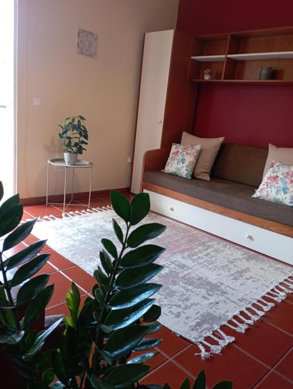 Village Sun House - Porto Moniz - B&B Porto Moniz