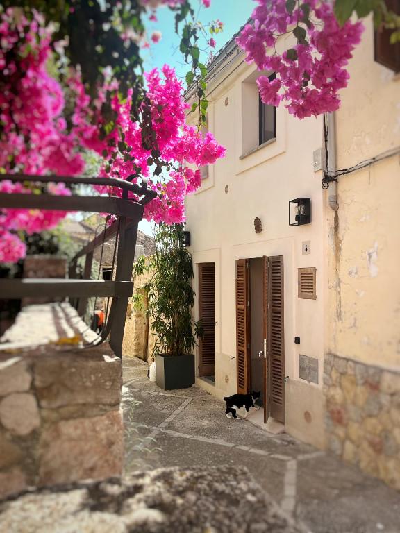 Casa pi - B&B Bunyola