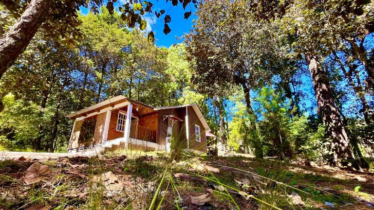 Relajante y Cálida con WIFI y free E Familiar - B&B San Cristóbal de las Casas