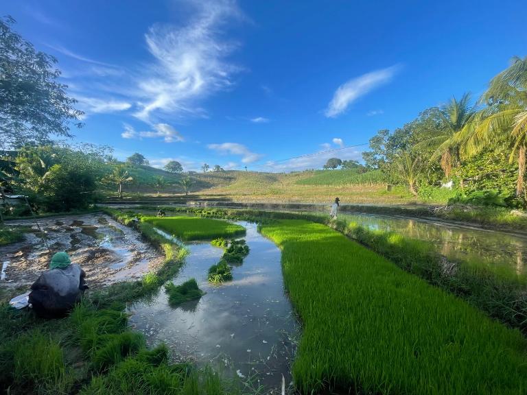 Toquero Family Farm - B&B Bayawan
