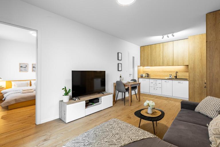 BNB Central Comfort on Jegeho - Bed and Breakfast Bratislava