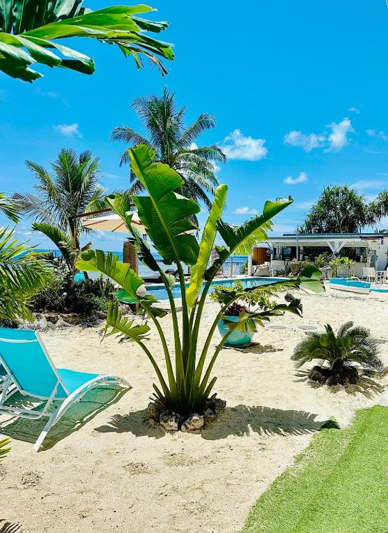 Pension Irivai appartement "Uparu" 1 chambre bord de mer - Ferienwohnung Uturoa