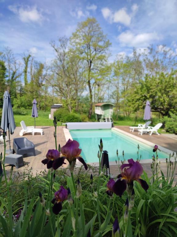 LES DIVINES BOURGOGNE - Bed and Breakfast La Rochepot