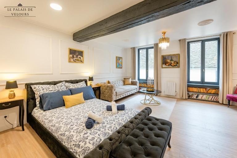 Le Palais de Velours (Centre-Ville Historique) - B&B Auxerre