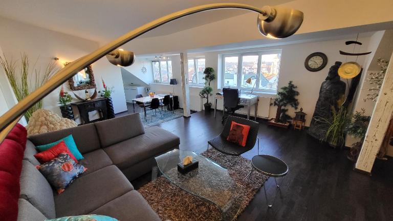 Lux Apt - Loft with View of the Center of Prague - B&B Prague