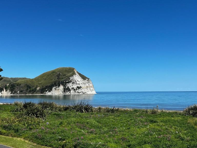 Spectacular beachfront holiday home with ev port - Bed and Breakfast Mahia