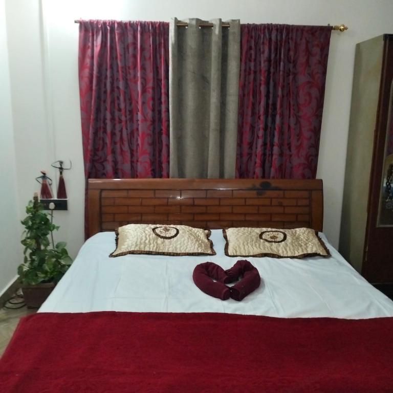 The BIRD Nest - B&B Guwahati