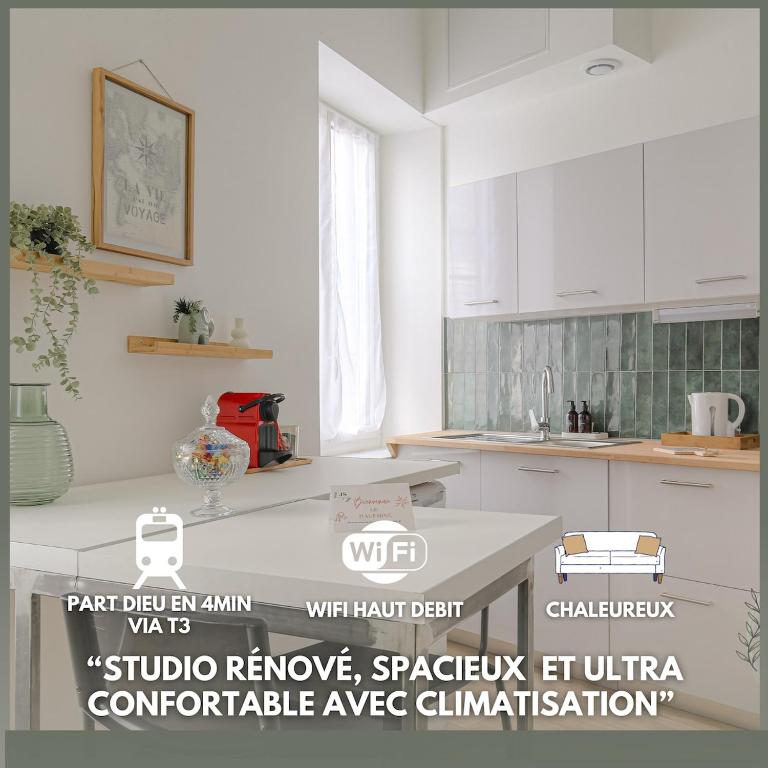 Le Dauphiné studio climatisé - Ferienwohnung Lyon