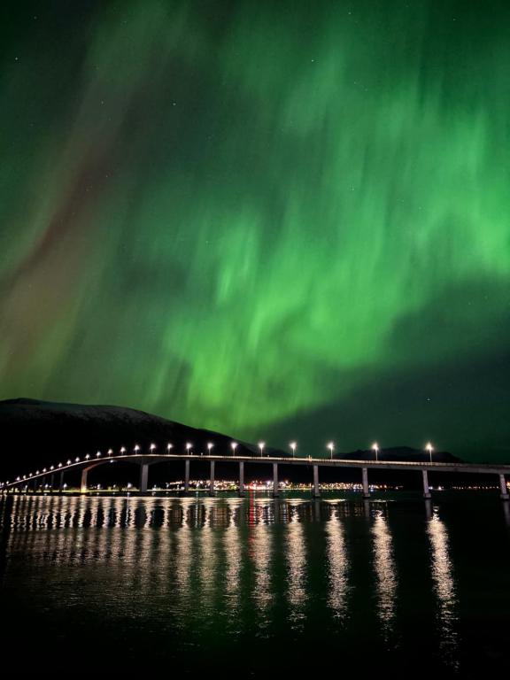 Hus med havutsikt i vakre Vesterålen - naboen til Lofoten - Ferienwohnung Sortland