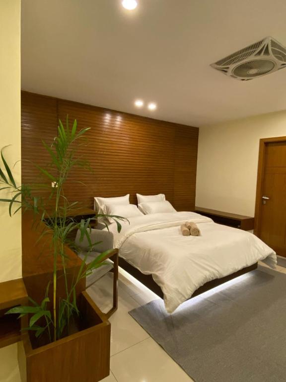 Skyluxe Designer Studio with rooftop Pool & Self Check In - Bed and Breakfast Islamabad