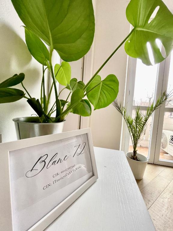 Blanc72 - B&B Torino