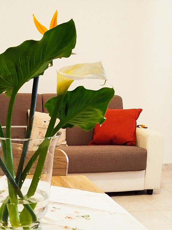 I Corbezzoli - B&B Porto Torres