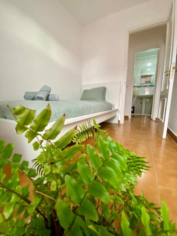 Teresa Home - Ferienwohnung Corralejo