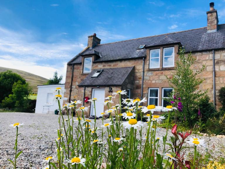 Lettoch Farm - B&B Dufftown