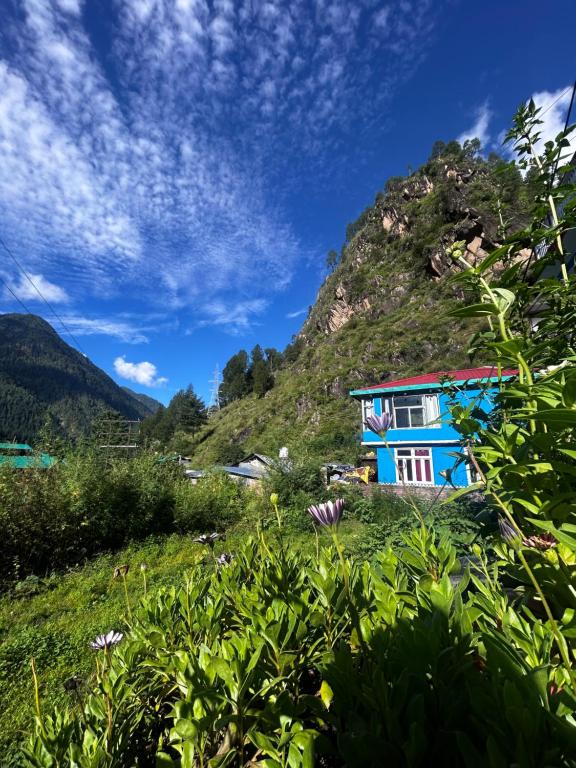 FORMOSA Cafe Hostel KASOL GOA - B&B Kasol