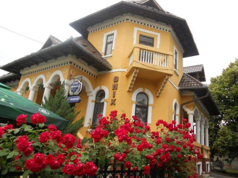 Pensiunea Onix - B&B Făgăraș