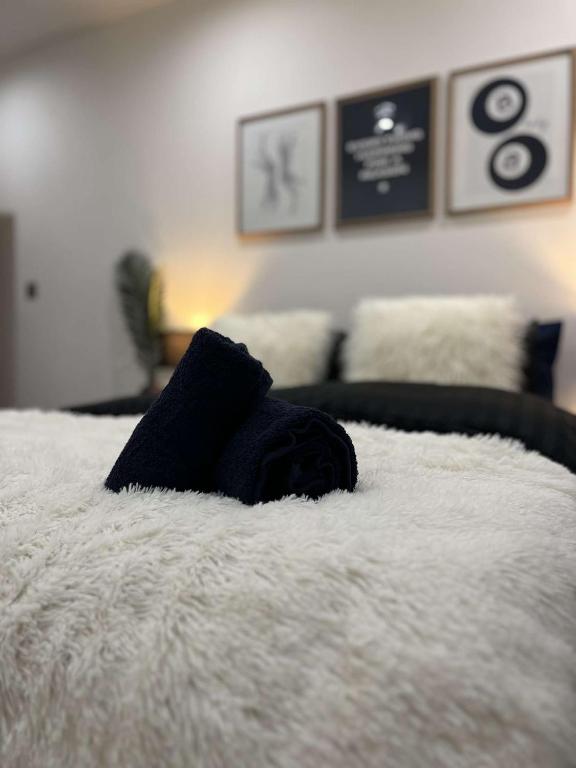 Modern Wild City Centre Double Suite - Fast WiFi, Basketball Game, Free Gym - B&B Leicester
