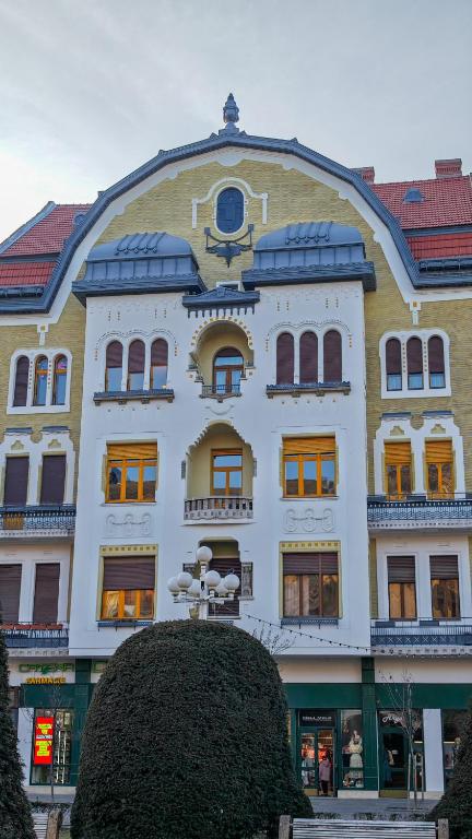 Neuhausz Residenz Ultra-Central Apartment - B&B Timisoara