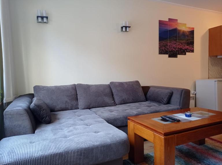 Pine Tree Apartment 3 - B3 - B&B Bansko