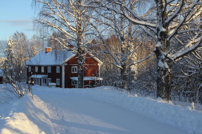 Spacious nature appartement for active families - B&B Voxnabruk