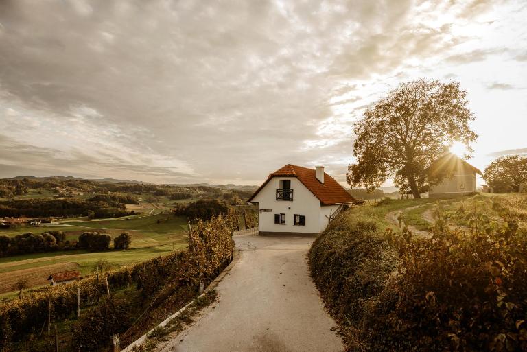 Vineyard Cottage Zdolsek - Chambres d'hôtes Smarje pri Jelsah