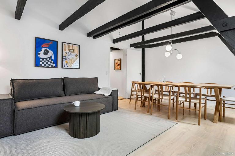 City-Center Penthouse w Private Balcony - Bed and Breakfast Århus