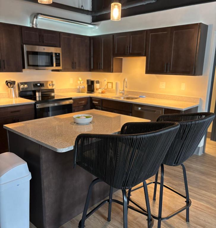 New Luxury Downtown 1 Bedroom Condo 201 - Bed and Breakfast Kalamazoo