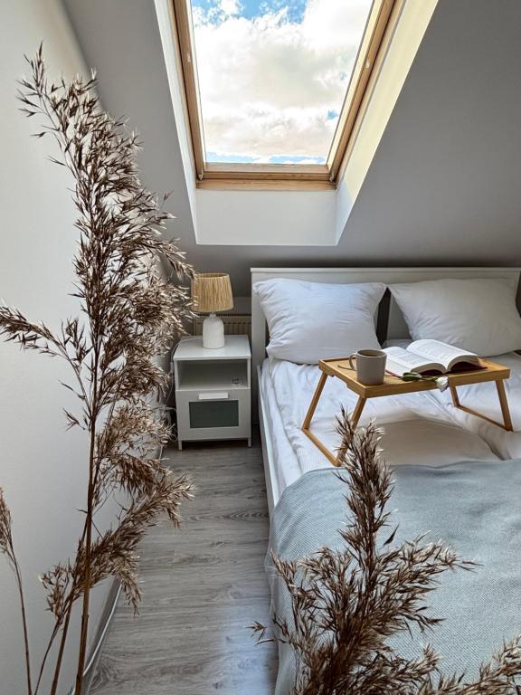 Apartament Aspen - przestronne poddasze przy plaży - Chambres d'hôtes Władysławowo