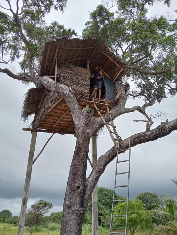 Anaga home stay & eco tourism - B&B Challi
