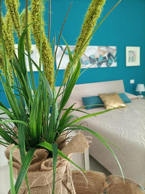 Le Case di Esteca - Blue Dwelling - B&B Lido Conchiglie