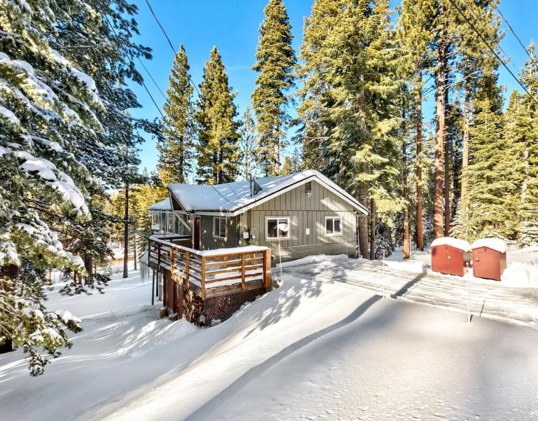 Bear Haus - Sledding At Cabin - Forest Views - Foosball - B&B South Lake Tahoe